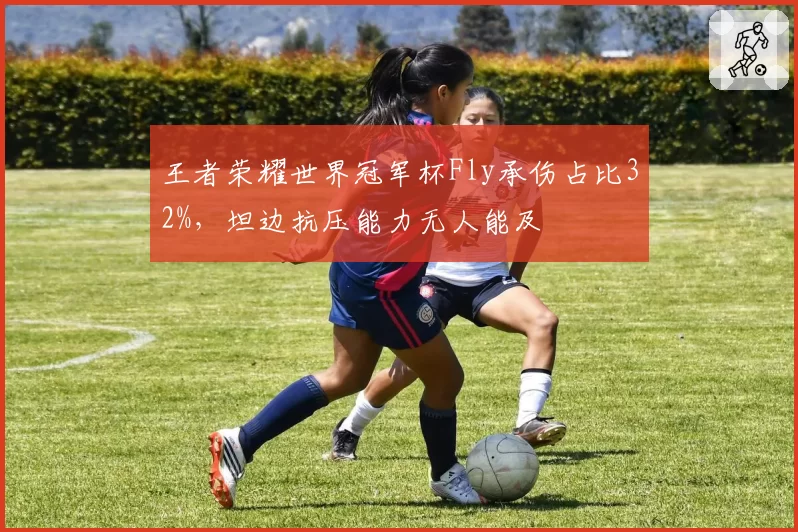 王者荣耀世界冠军杯Fly承伤占比32%，坦边抗压能力无人能及
