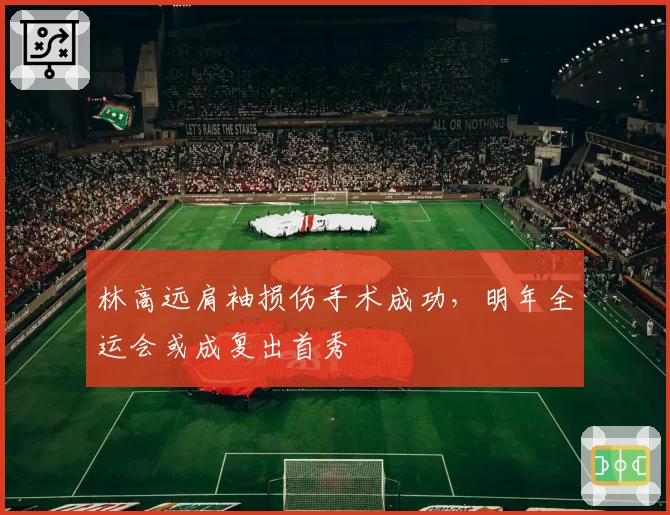 林高远肩袖损伤手术成功，明年全运会或成复出首秀